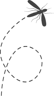 Mosquito silhouette with a looping dotted flight path