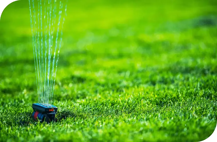 Oscillating sprinkler spraying multiple streams of water across a well-maintained green lawn