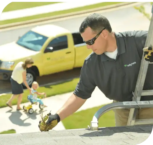 Technician clearing leaves from a roof gutter as a woman watches with a child and a Waynes service truck nearby