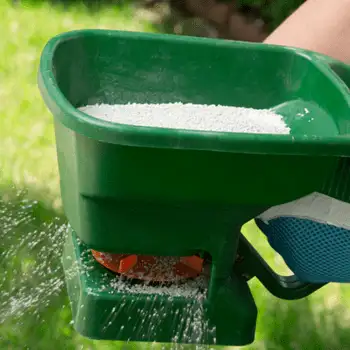 Green handheld broadcast spreader dispensing white granular fertilizer across a grassy lawn
