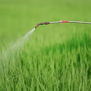 Spray nozzle applying pre-emergent liquid over a bed of green grass
