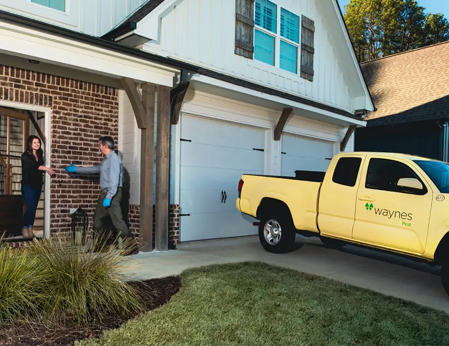 Yellow Waynes Pest service truck parked in driveway while a technician hands a homeowner a document at the front door