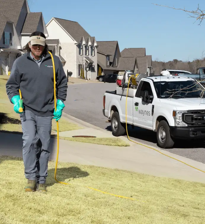 Technician walking on lawn with hose and sprayer next to Waynes Pest Control service truck in a neighborhood