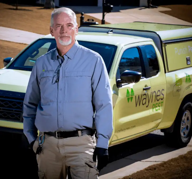 Pest control technician in uniform standing in front of a yellow Waynes Pest company truck.