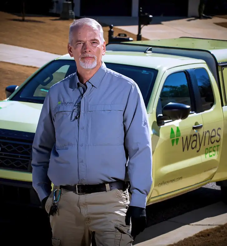 Man in gray uniform standing beside a light green truck branded 'Waynes Pest'