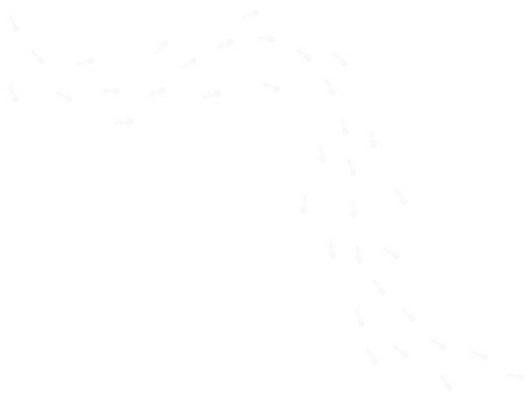 Multiple white ant silhouettes arranged in winding trails across a dark green background