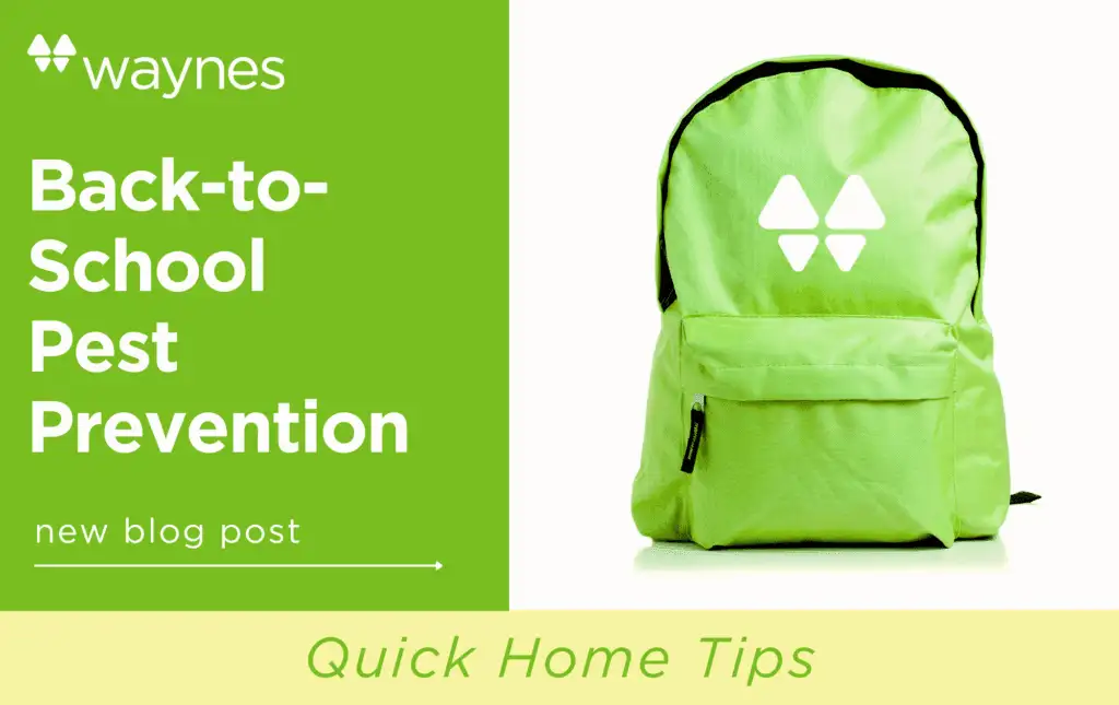 Green backpack with a white triangular logo beside a green panel reading "Back-to-School Pest Prevention"