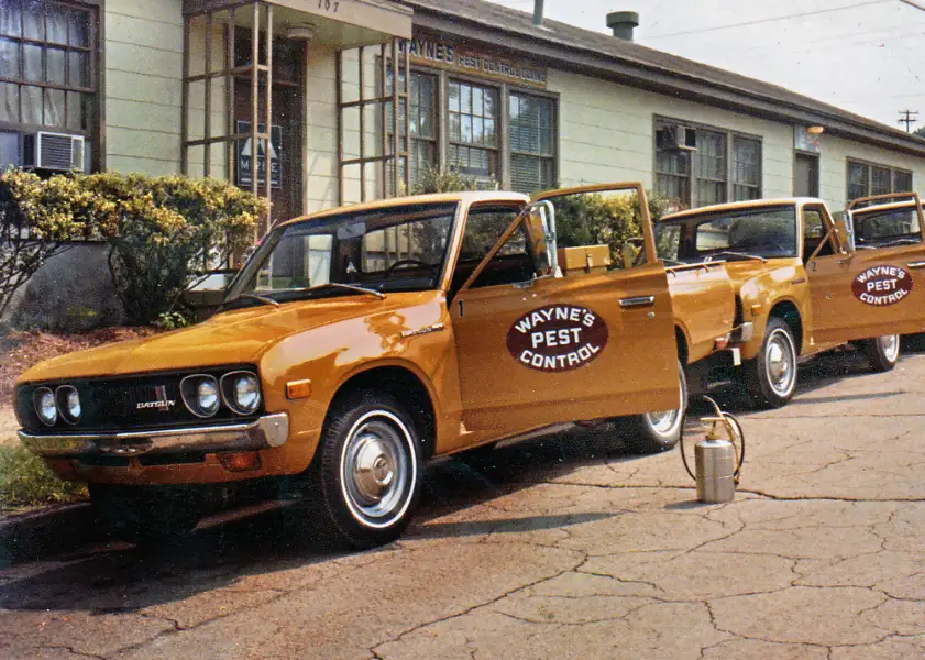 Two orange pickup trucks labeled 'Wayne's Pest Control' parked outside an office, metal pesticide sprayer on the pavement