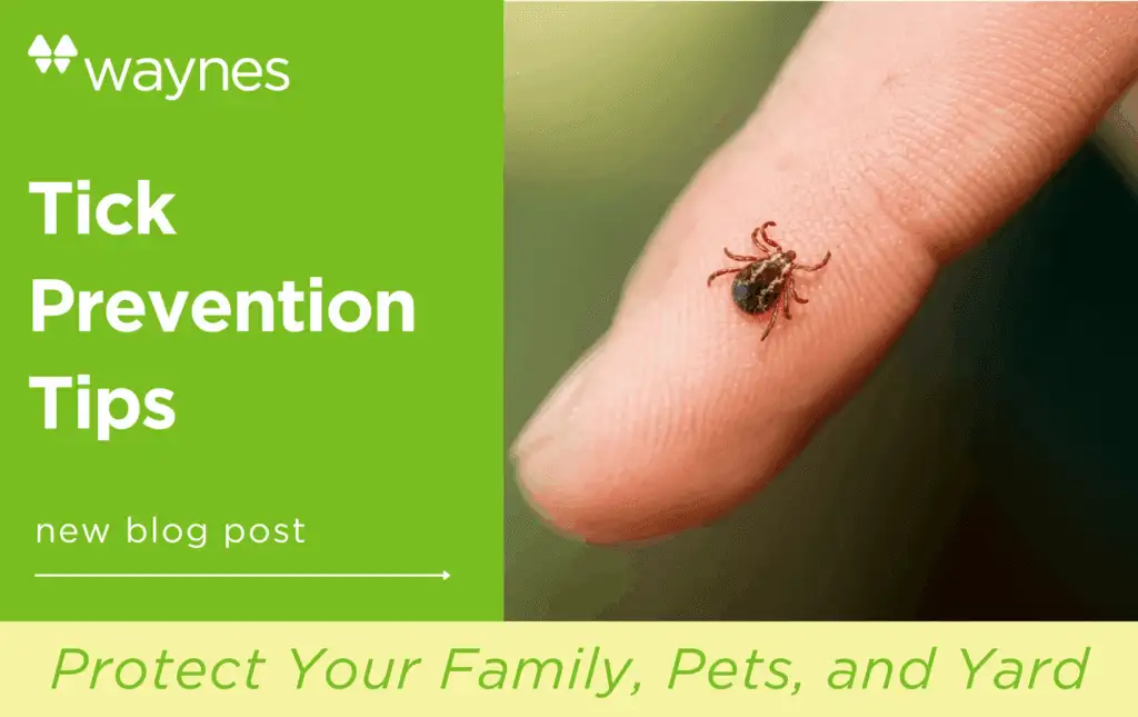 Small tick attached to a fingertip beside a green Waynes-branded panel reading 'Tick Prevention Tips'