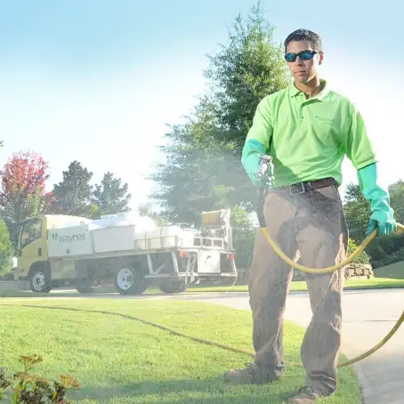 pest control birmingham