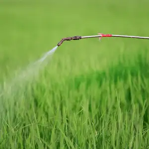 Sprayer nozzle misting liquid over dense green lawn grass for pre-emergent pest control treatment