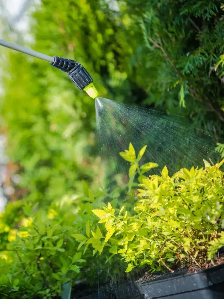 Spray nozzle misting liquid over potted green shrubs and foliage