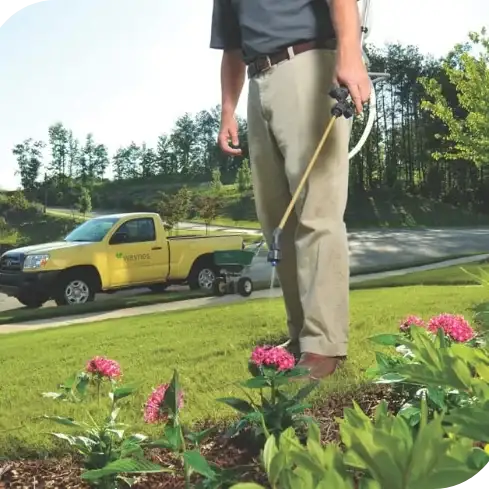 Technician spraying a flower bed with a handheld lawn sprayer, pickup truck with Waynes Pest Control logo parked behind