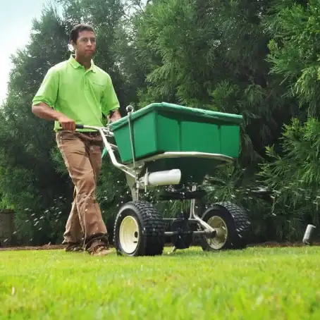 Man in green shirt pushing a broadcast spreader across a lawn beside tall hedges