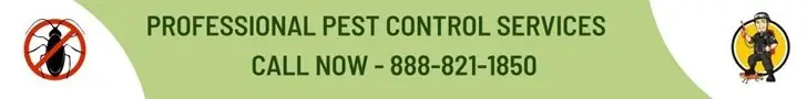 call us now