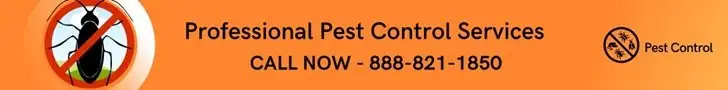 call us now