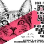 suara cancels betoko