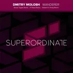 Dmitry Molosh - Wanderer Remixes