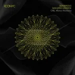 Sonderzug - Simulated Universe (ICONYC)