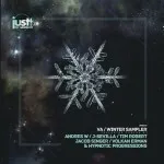 Various Artists - Winter Sampler (Just Movement)