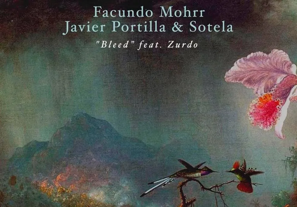 Facundo Mohrr Javier Portilla Sotela Bleed Feat Zurdo Natura Sonoris