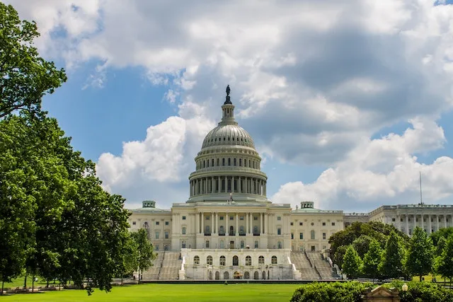 How the United States Government Works