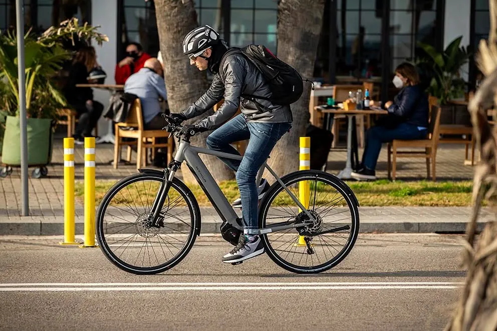 El viento frontal no es obstáculo para la la Riese & Müller Roadster