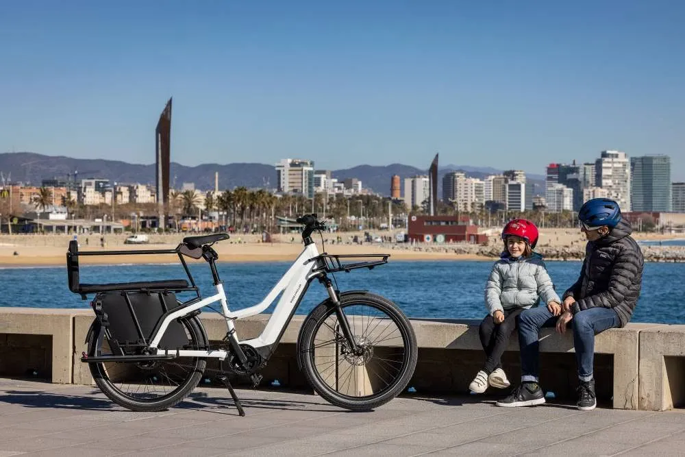 Riese & Müller Multicharger Mixte GT Vario 750