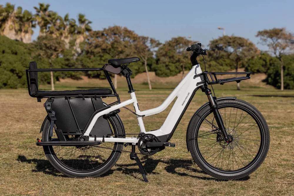 Riese & Müller Multicharger Mixte GT Vario 750