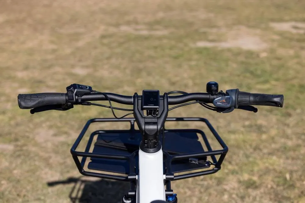 Riese & Müller Multicharger Mixte GT Vario 750