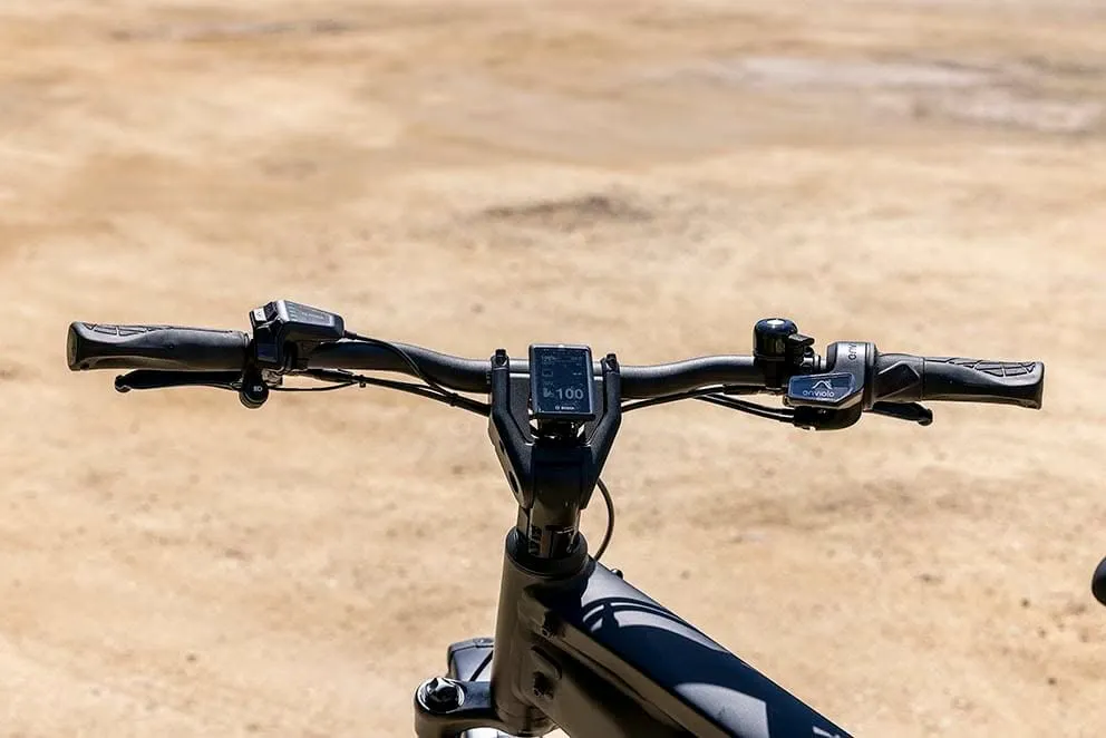 La Riese & Müller Charger4 tiene un cockpit logrado presidido en el centro por el Kiox 300