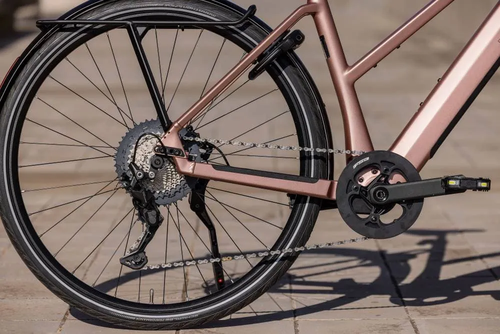 Transmisión Riese & Müller UBN Seven Touring