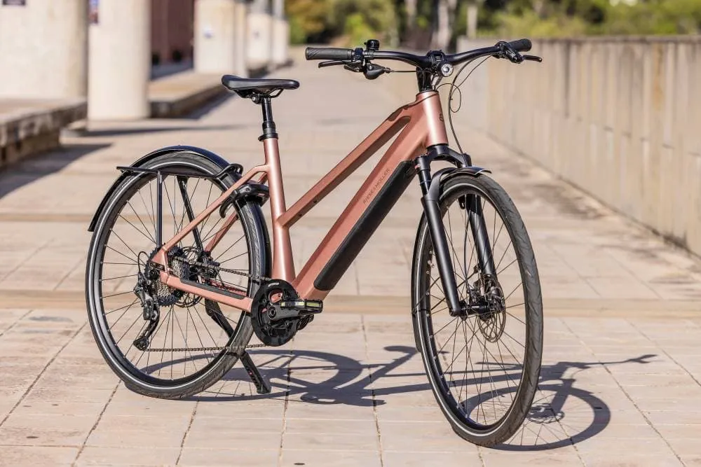 Riese & Müller UBN Seven Touring