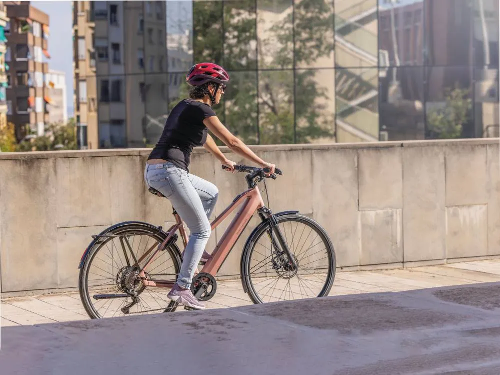 Riese & Müller UBN Seven Touring