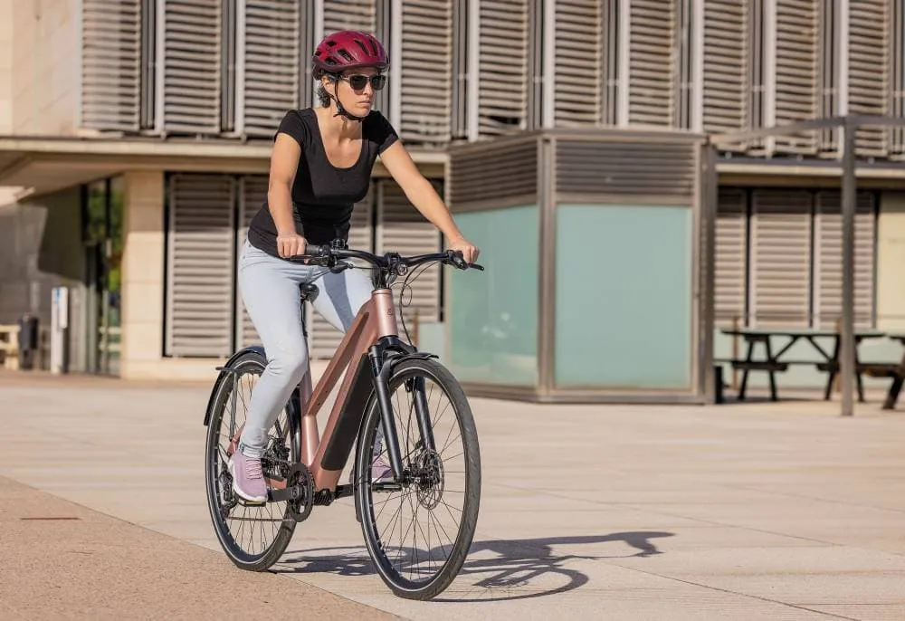 Riese & Müller UBN Seven Touring