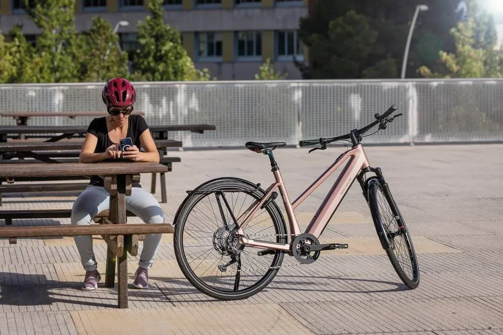 Riese & Müller UBN Seven Touring