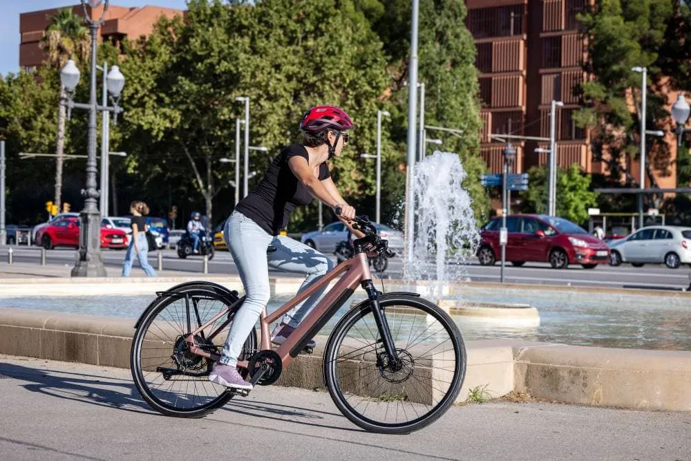 Riese & Müller UBN Seven Touring