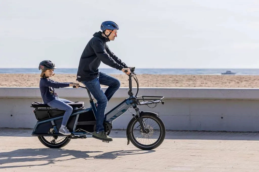 Riese & Müller Multitinker Touring
