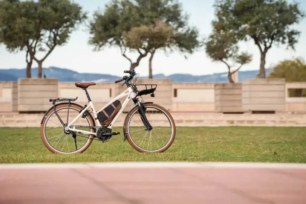 Riese & Müller Cruiser 2