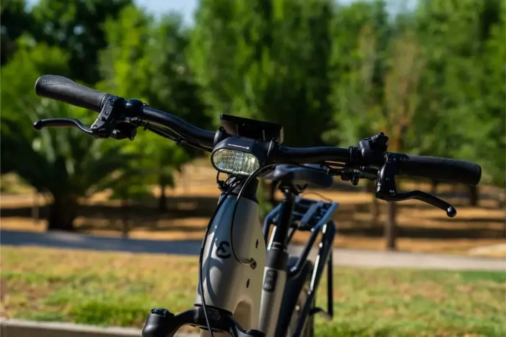Primer plano del manillar y el faro de una bicicleta Riese & Müller, destacando el diseño del cuadro de paso bajo con frondosos árboles y vegetación de fondo.