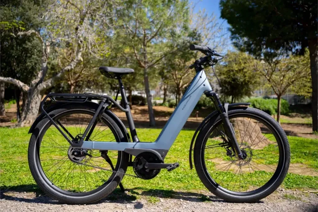 Una Riese & Müller Nevo5 bicicleta eléctrica gris está aparcada en un camino de un parque soleado rodeado de hierba verde y árboles.