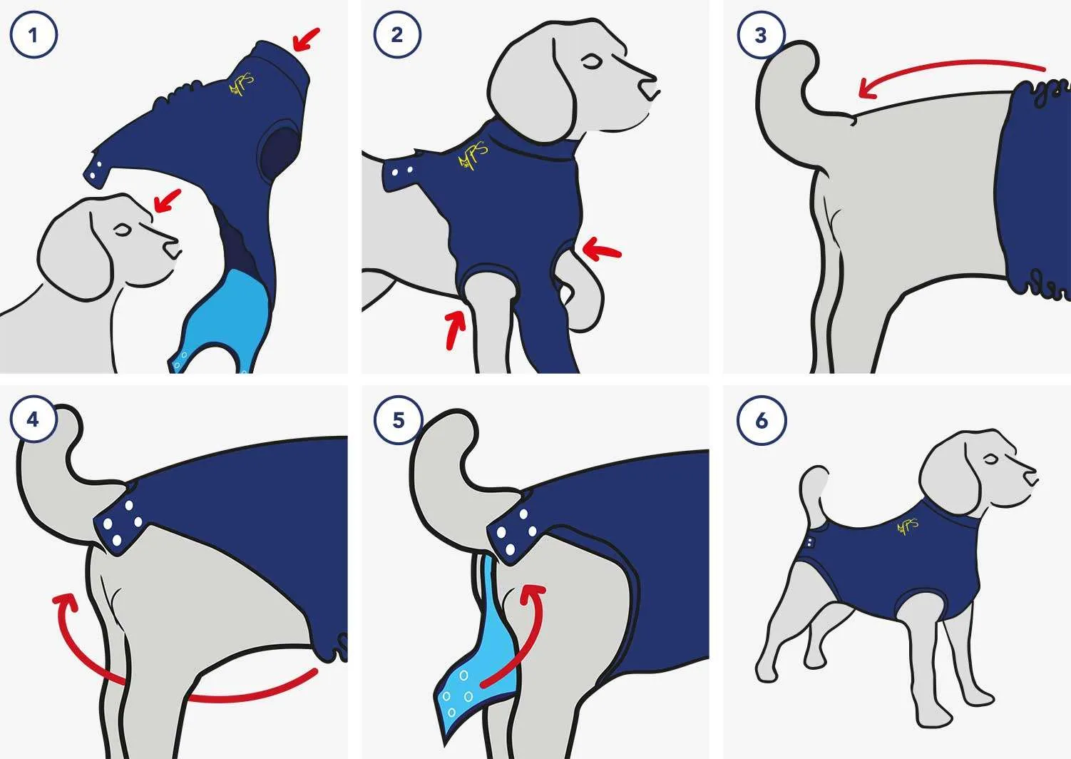 STEPS_MEDICAL-PET-SHIRT-DOG_2020_V01-1-1