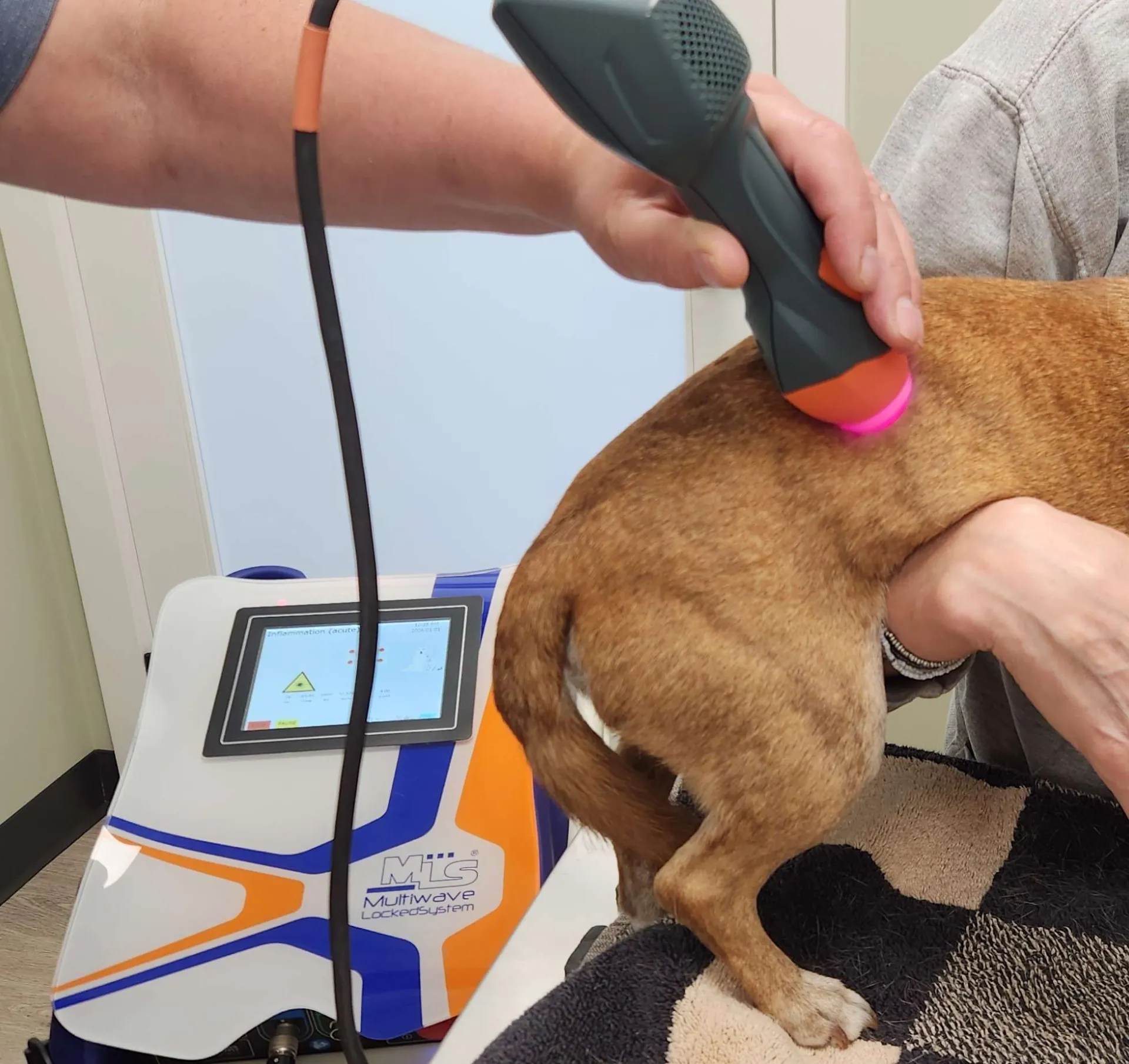 Therapeutic Laser