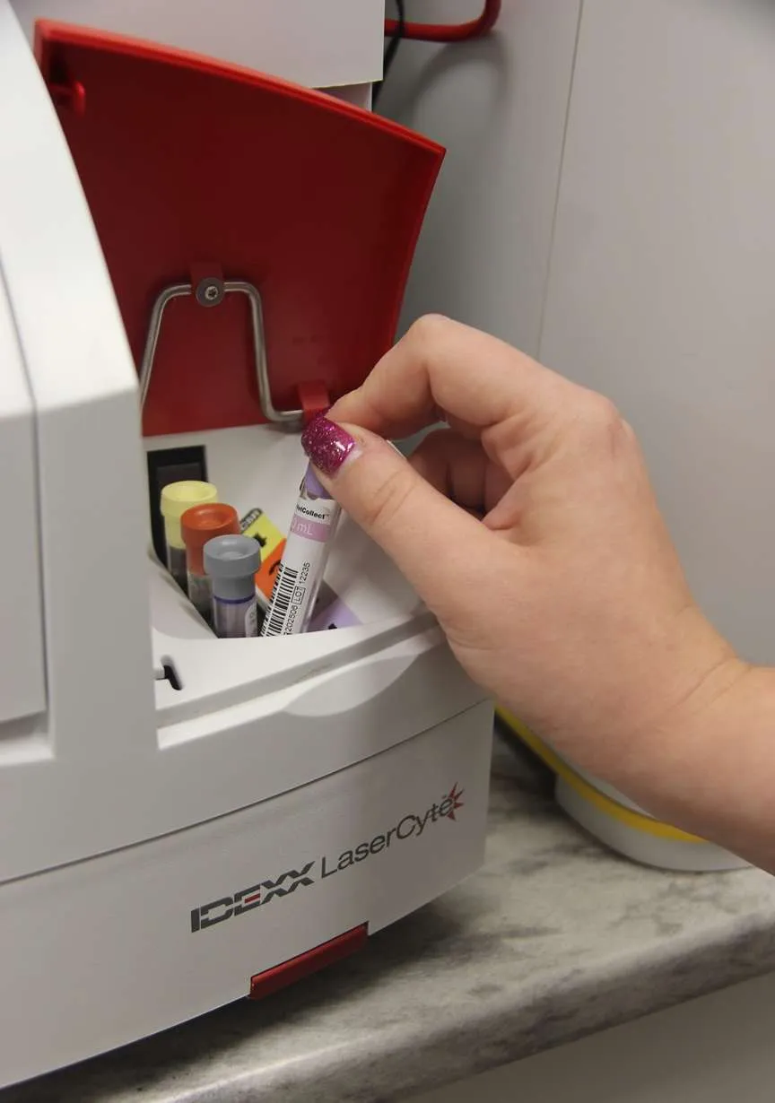 blood & urinalysis