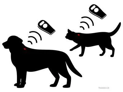 microchipping-2-180928914