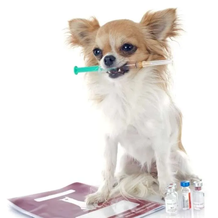 vaccine.CRO FLIPPjpg