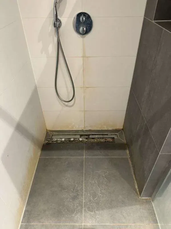 Before cleaning