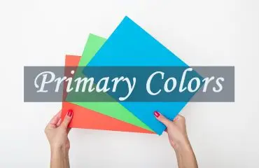 Primary Colors Primary Colors