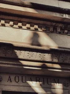 Sombra proyectada sobre una fachada de piedra tallada con molduras y la inscripción AQUARIUM; ¿Por qué la Biblia dice que a veces los malos prosperan?