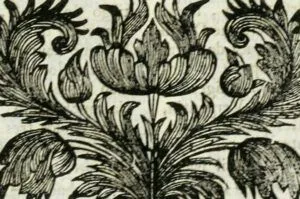Adorno floral en grabado antiguo con motivos simétricos y textura de papel envejecido, ideal para ilustrar Cuando abrimos los ojos: la historia detrás de 'ellos tenían la tierra y nosotros la biblia'.